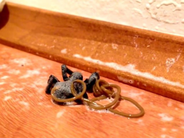 Natura poate fi bizară și înfricoșătoare. Un păianjen omorât cu insecticid a scos la iveală un lucru TULBURĂTOR surprins în acest VIDEO