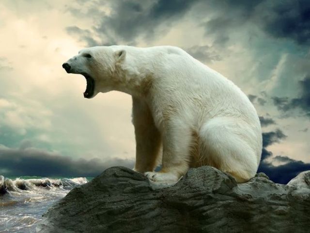 Polul Nord va ajunge în EUROPA. Iată care vor fi cele mai neașteptate efecte ale schimbărilor climatice