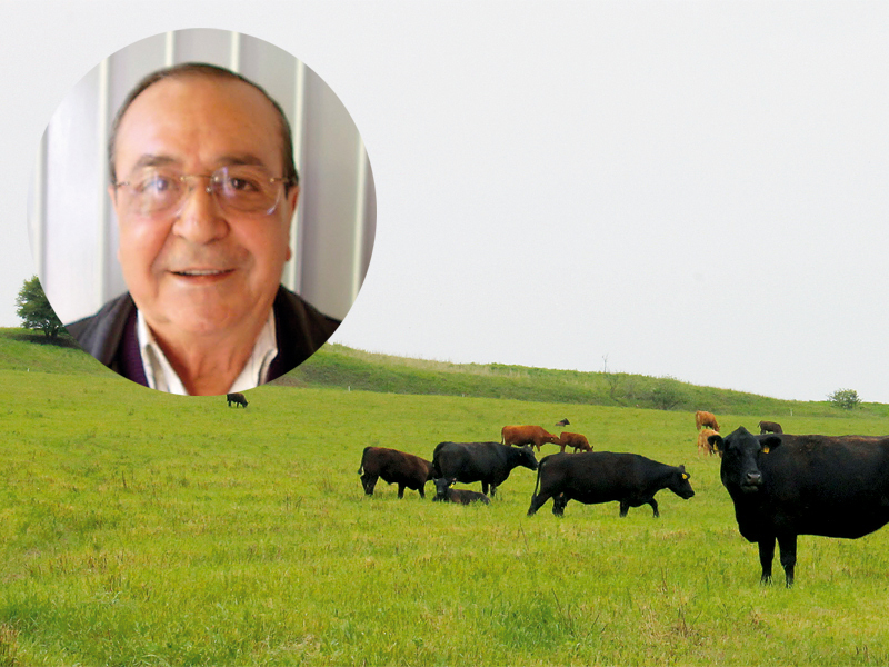 Sfatul unui afacerist cu 120.000 de angajați: „Nu te ajută școala, ci școala vieții. Am învățat trăind"