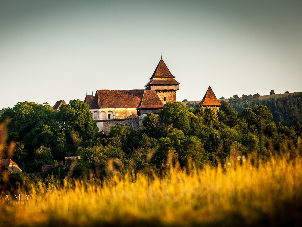 Unic în România, localitatea unde se va interzice accesul cu mașina. Se va circula doar cu căruța