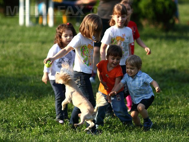 Care vor fi următoarele ZILE LIBERE de care vor beneficia românii. Sunt mai aproape decât te așteptai