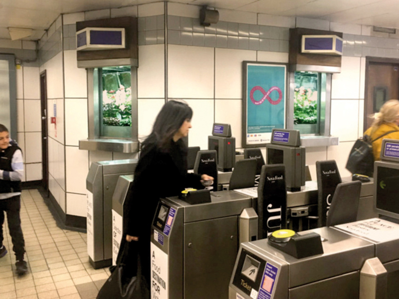 Minigrădina din metrou