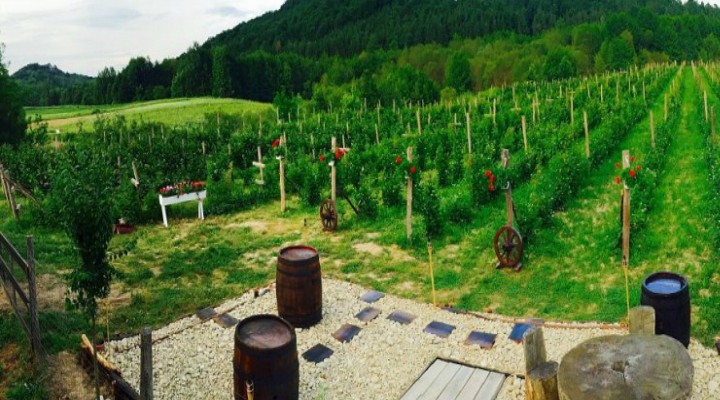 Idee genială de afaceri: un nou tip de vin UNIC IN LUME produs in Romania de o familie din Gorj
