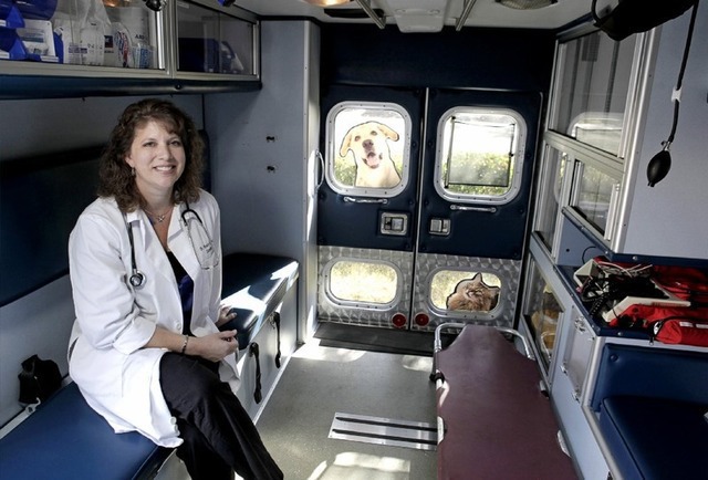 Cât sunt dispuși să plătească stăpânii pentru o ambulanță destinată animalelor de companie