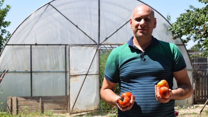 POVESTEA DE SUCCES a unui fermier care CULTIVĂ ALTFEL DE ROȘII