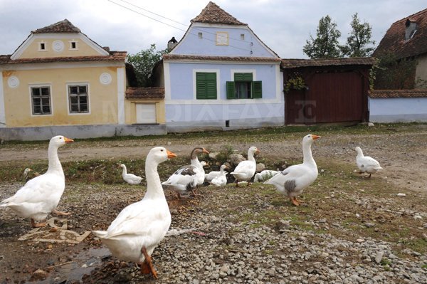 Legea salarizării provoacă DEZECHILIBRE în bugetele mai multor primării: Nu mai sunt bani de salarii, dar nici pentru lemnele de foc necesare încălzirii