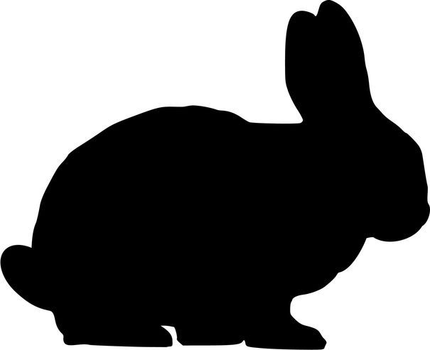 Bad Rabbit face ravagii în calculatoarele din Europa. Un nou atac ransomware face victime în masă