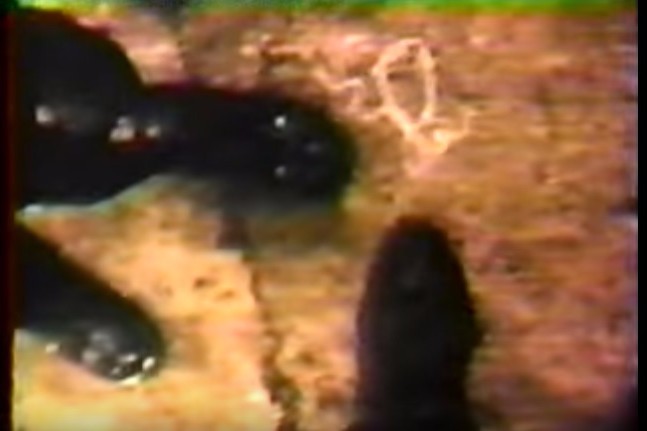 Un fermier a găsit pe câmp o cameră de filmat. Când a văzut imaginile, FBI a deschis o anchetă. Detaliul incredibil pe care l-au descoperit după un an