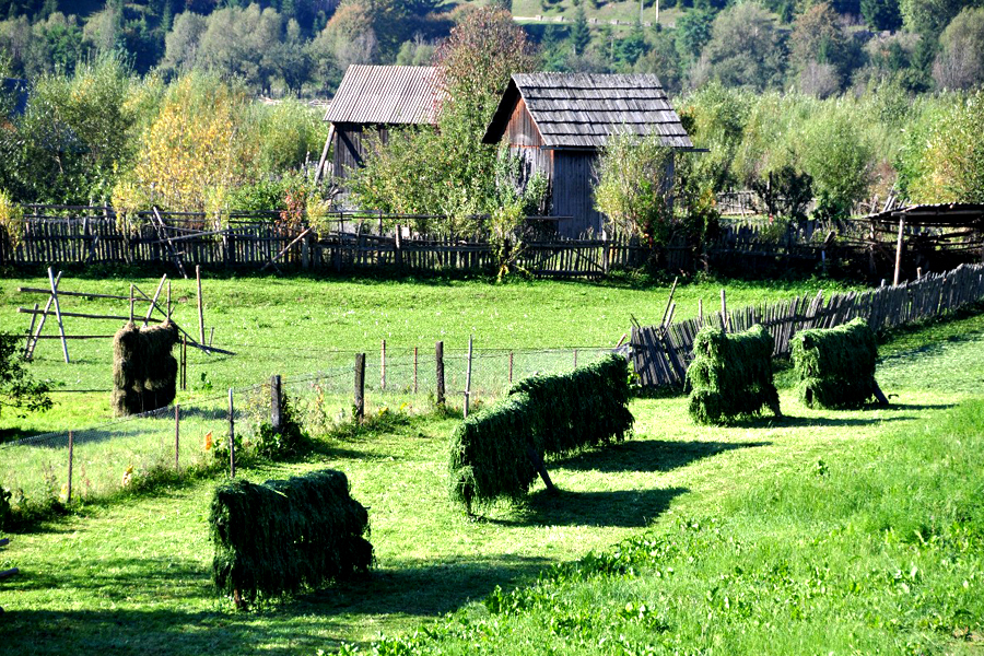 Cum a reușit un om de afaceri din Romania să cumpere tot satul în care a copilărit și să plătească mai puțini bani decât dau alții pe o mașină de lux