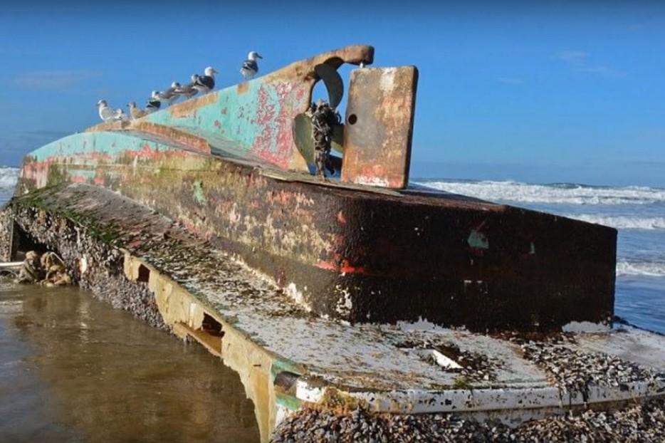 O navă-fantomă, dispărută după tsunamiul din 2011, descoperită pe coasta SUA. Ce „încărcătură” prețioasă avea