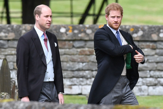 Cum arată sora vitregă a prinților William și Harry