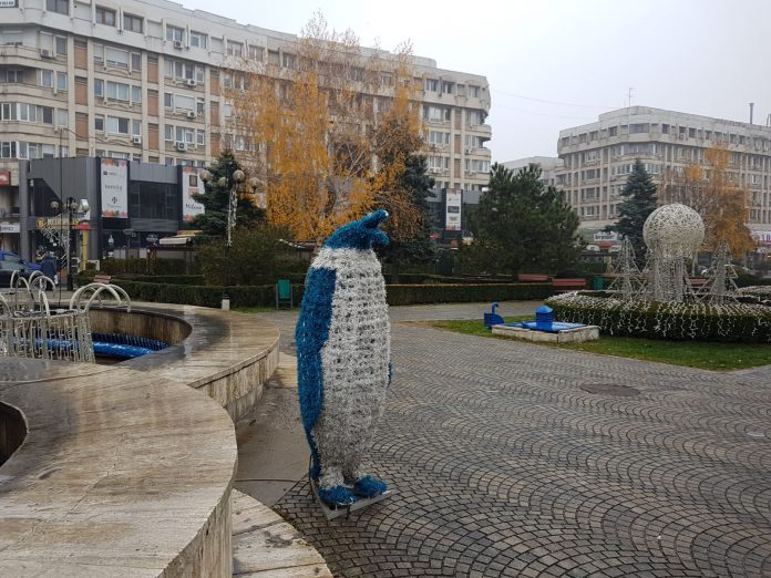 Pinguini luminoși de Crăciun într-un oraș din România! Oana Pellea: „Pinguinul lumineaza. O fi in loc de brad de Craciun? Asta da brand de tara!”