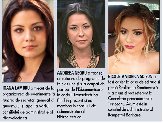 Bibliotecari, casiere și vedete TV, oamenii statului în energie