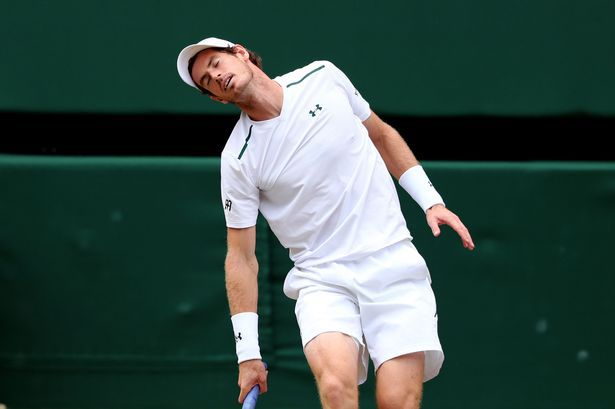 Andy Murray și Kei Nishikori nu vor participa la Australian Open