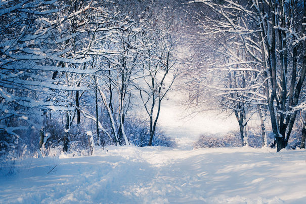 INFORMARE METEO de vânt puternic și ninsori. Zonele vizate de avertizarea meteorologilor