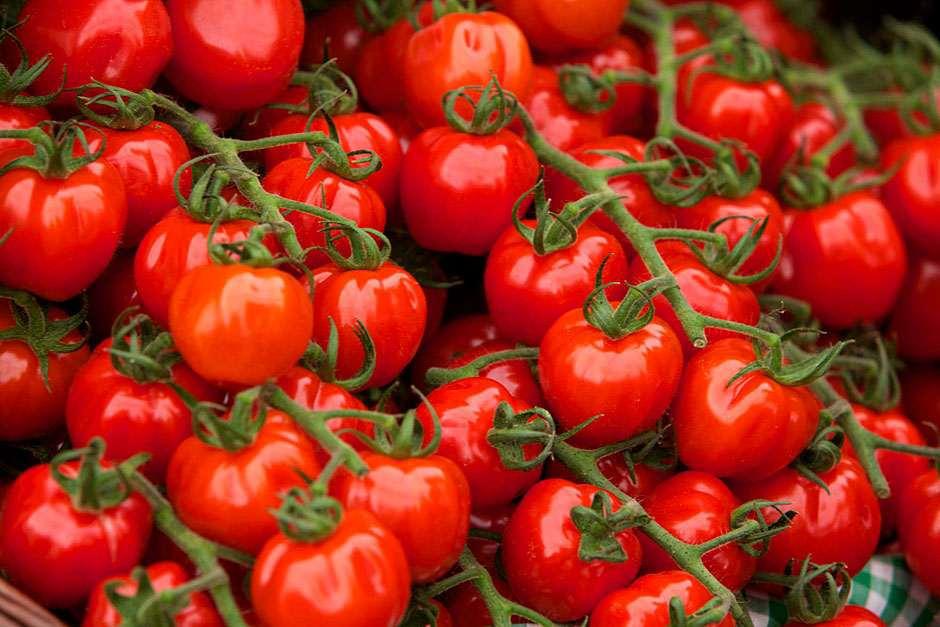 Cum sunt VOPSITE, in doar cateva ore, rosiile care ajung in supermarket si de ce nu au gust