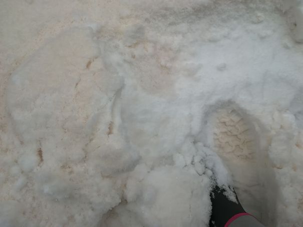 Un fenomen rar în ROMÂNIA. A nins cu zăpadă portocalie la Galați