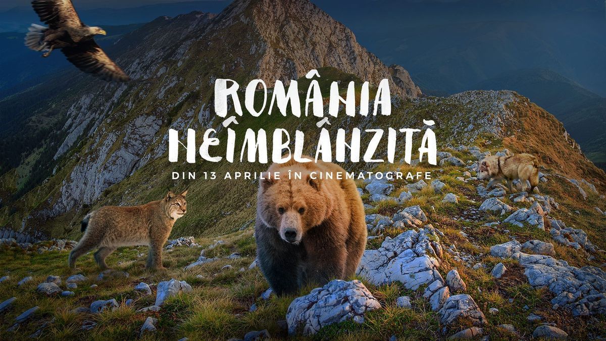 Uitați de supereroi sau curse de mașini: "România neîmblânzită" e cel mai bun material despre țara noastră care a ajuns până acum în cinematografe