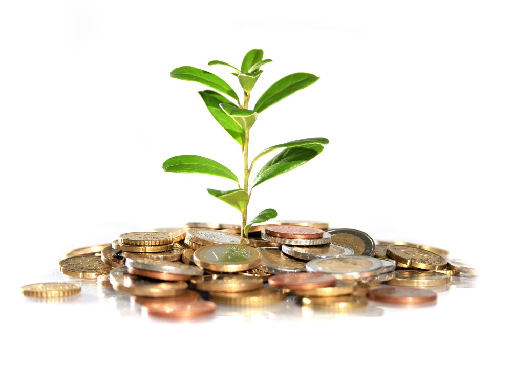 Investiția care aduce 800 de dolari zilnic și pe care oricine o poate face