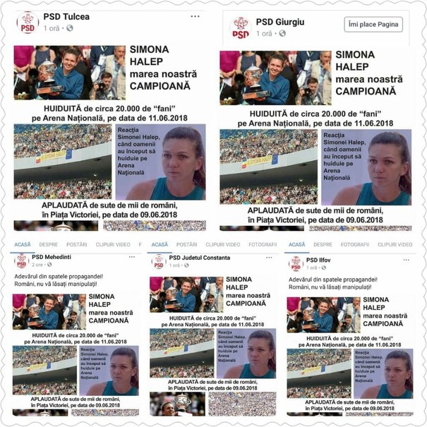 Organizații PSD, despre Simona Halep: Huiduită pe Arena Națională, aplaudată la mitingul PSD