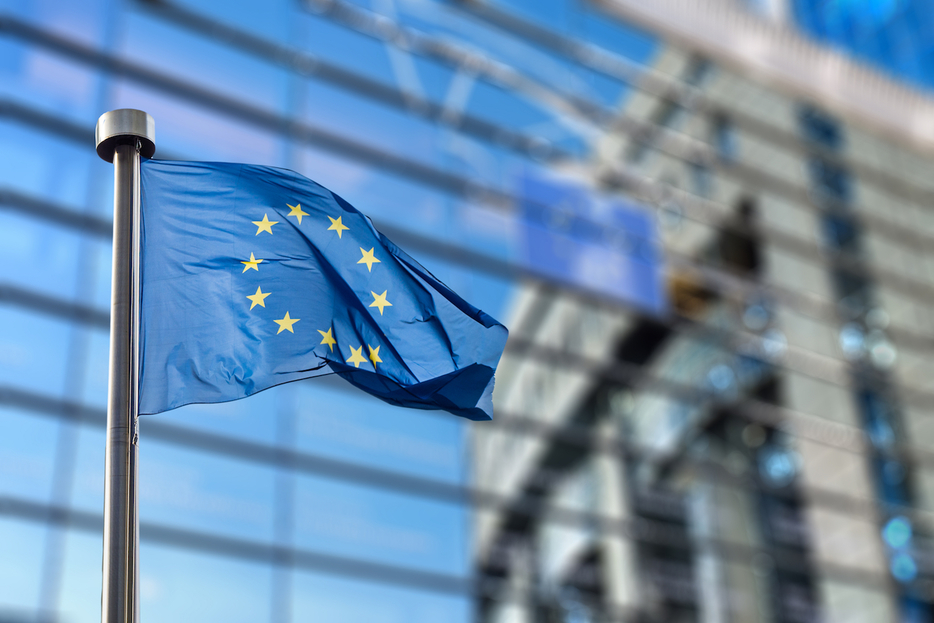 Mugur Isărascu crede că România nu are ce căuta în Zona Euro: Șmecheriile Guvernului sunt periculoase