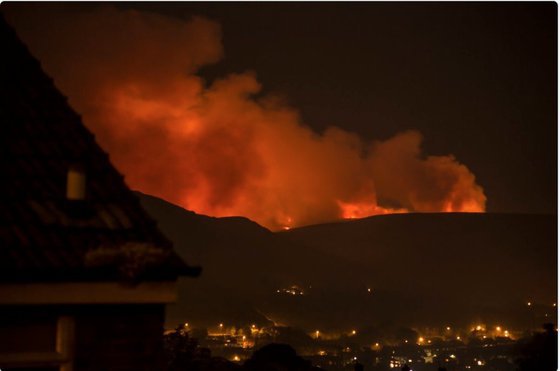 Incendiu puternic în Marea Britanie, din cauza temperaturilor ridicate. Case evacuate, școli închise