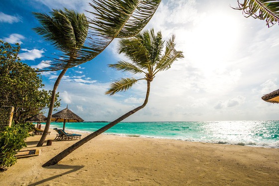 JOB de vis: Stai și te relaxezi, în condiții de LUX, vizitezi Maldive și primești BANI pentru asta!