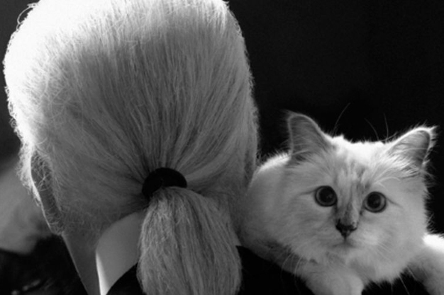 Pisica lui Karl Lagerfeld este milionară. Ce avere are Choupette