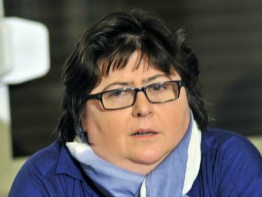 Pippidi, mesaj pentru Diaspora: Adevăr dureros sau jignire?