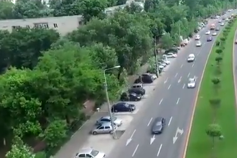 Aproximativ 9 milioane de lei pentru Întreținerea Arborilor București. Ce utilaje intenționează să achiziționeze compania municipală