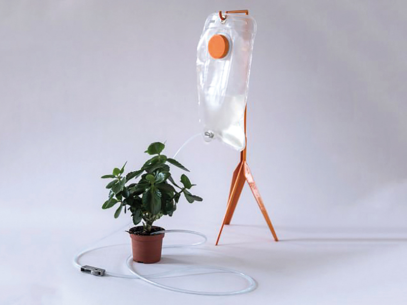 Perfuzie pentru plante