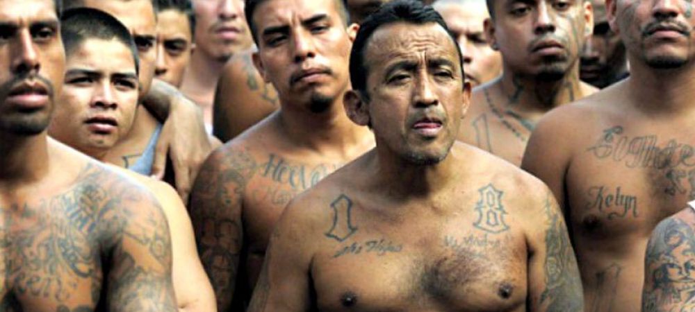 Povestea agentului FBI care s-a infiltrat in 3 familii mafiote, un cartel mexican si in Mafia Rusa!