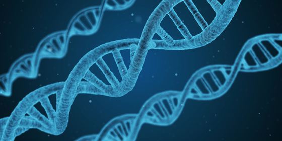 O companie de biotehologie oferă servicii de CLONARE a animalelor de companie. Cât costă procedura