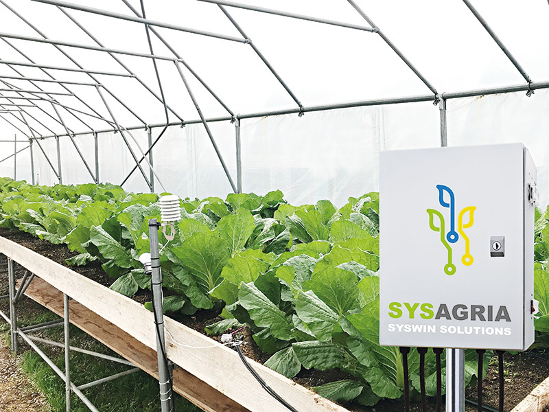 Soluția inteligentă pentru agricultură care poate maximiza profitul agricultorilor
