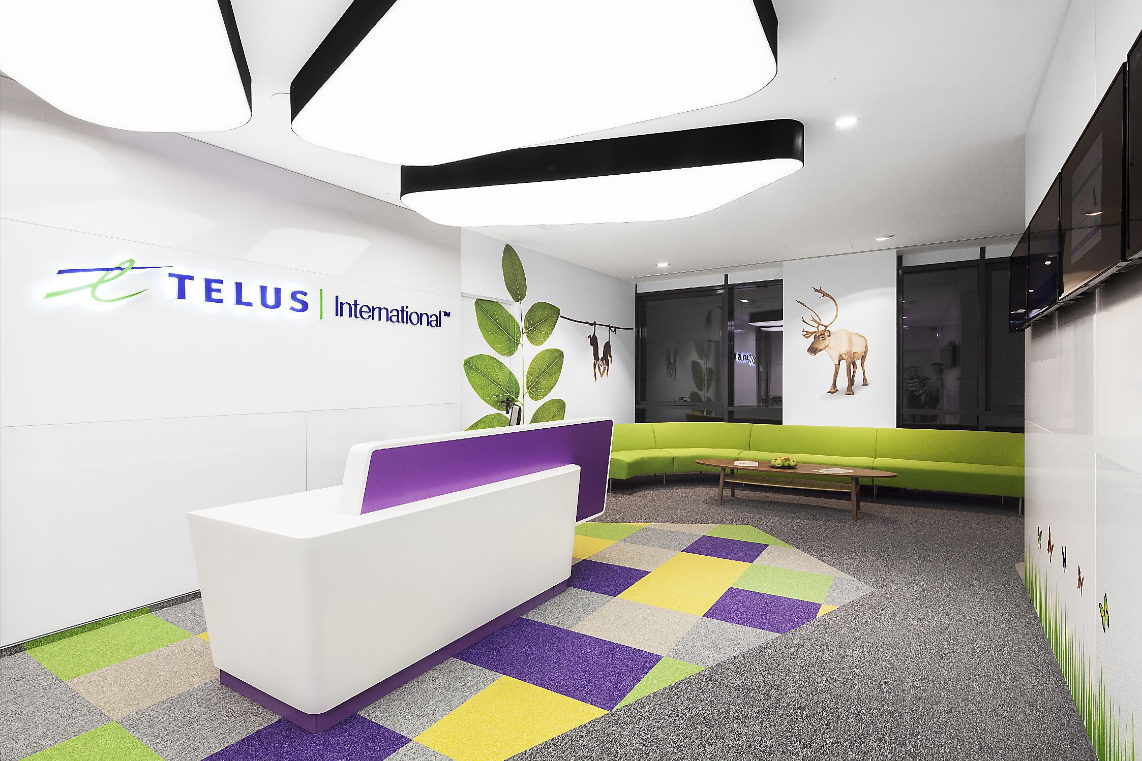 Telus International va angaja peste 500 de persoane până la finalul lunii iunie