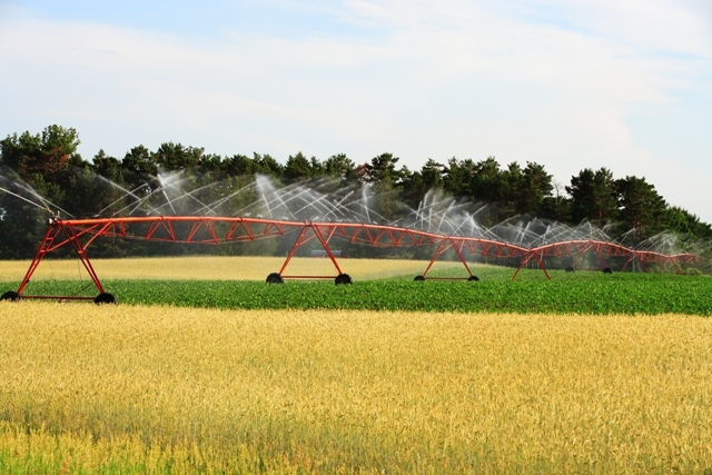 Ministerul Agriculturii lansează o sesiune de proiecte pentru irigații, de 200 milioane euro cu finanțare nerambursabilă