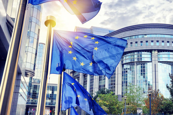 Patru eurodeputați, reținuți după ce au pătruns într-o bază militară din Belgia pentru a protesta față de prezența armelor atomice SUA în Europa