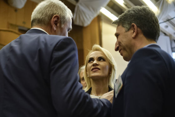 PSD, în fierbere. Firea vrea o confruntare față în față cu Liviu Dragnea: Să nu se mai ascundă după Olguța, Codrin, Doinița