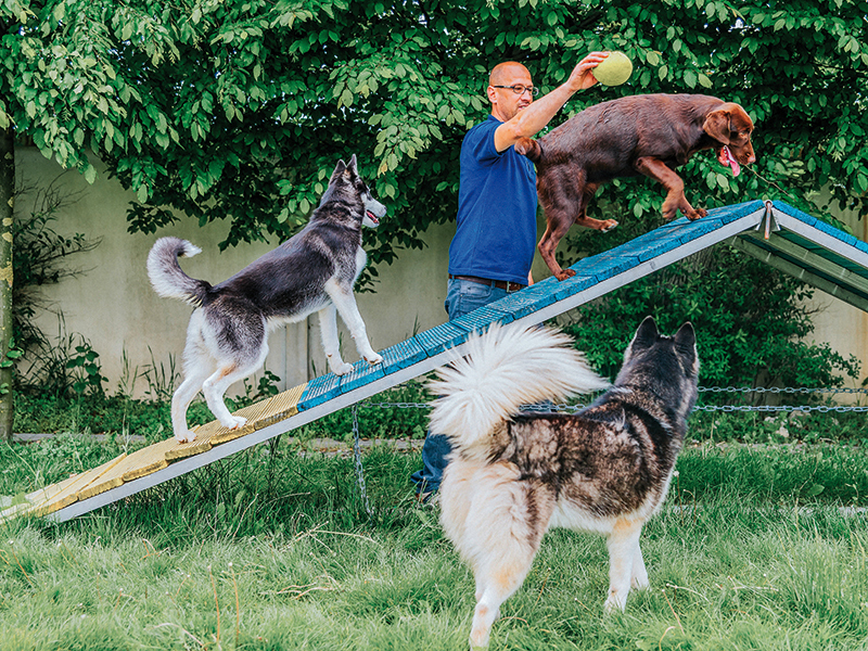 Antreprenoarea din România care face milioane din răsfățul animalelor