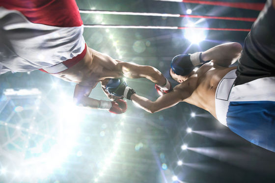 Primul român campion mondial în boxul profesionist, a fost arestat pentru trafic de heroină