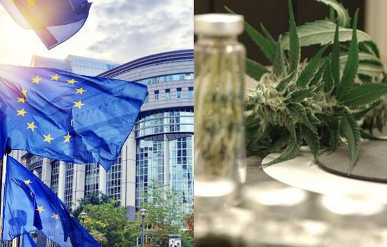 BREAKING Comisia Europeană, prima reacție privind legalizarea canabisului în scop medicinal în România