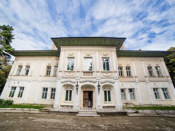 Un castel din România a fost scos la vânzare. Care este prețul acestuia