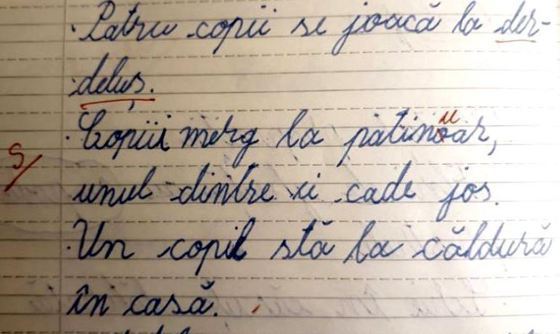 Sindicaliștii îi iau apărarea învățătorului care a scris „patinuar”