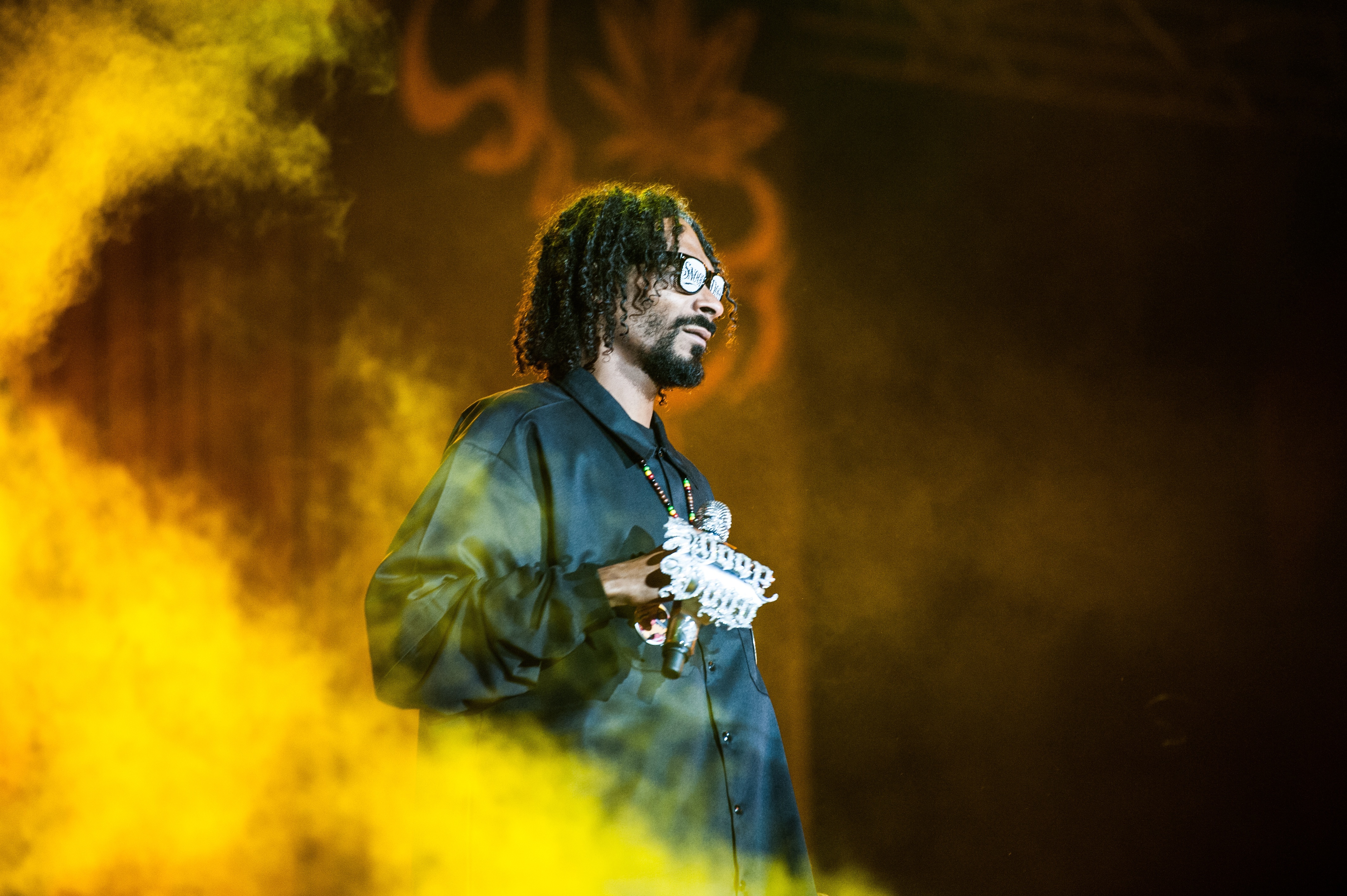 Compania britanică de canabis medicinal controlată de artistul Snoop Dogg caută finanțare și validare ca să concureze împotriva Big Pharma