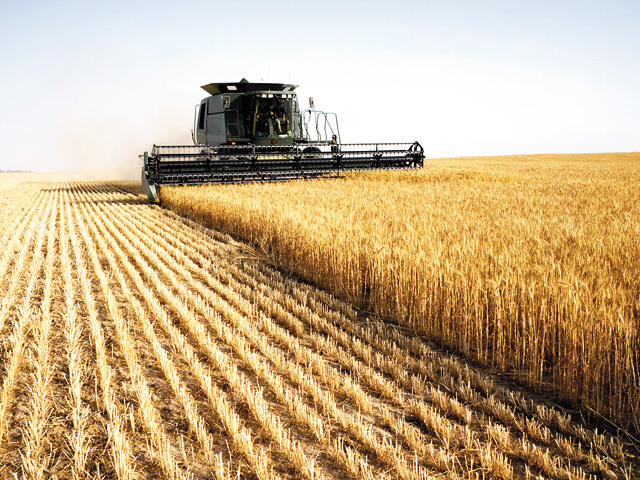 Dezastru. În România, țară văzută cu un potențial extraordinar în agrobusiness, mai funcționează doar 50 de licee agricole, de 4 ori mai puțin ca acum 20 de ani