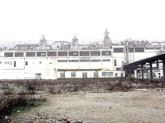 Dedeman, în cărți să preia fabrica de hârtie Letea din Bacău și terenul de 30 de hectare aferent