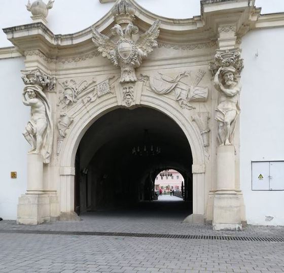 Lecție de civism: Un tânăr adună mucuri de țigări aruncate de turiști în jurul Cetății Alba Carolina și postează imaginile pe Facebook | FOTO