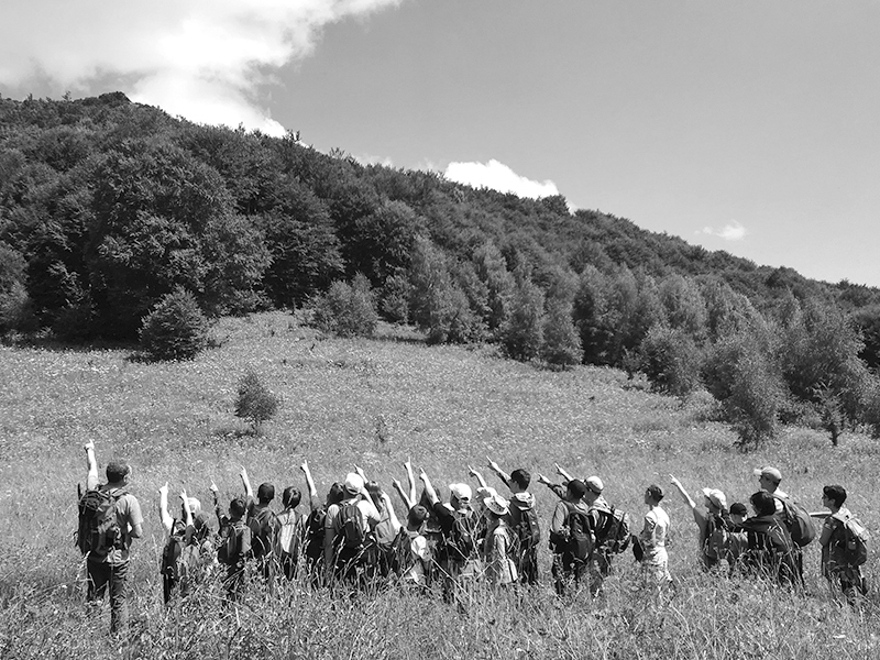 Cele mai responsabile companii din România: MOL România - Spații Verzi