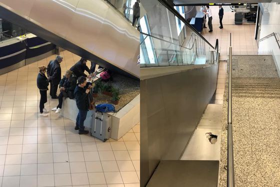 Răzvan Cuc solicită demiterea șefului Aeroportului Otopeni/ Imaginile cu "mizeria de nedescris", găsită de ministru după plângerile primite de la pasageri