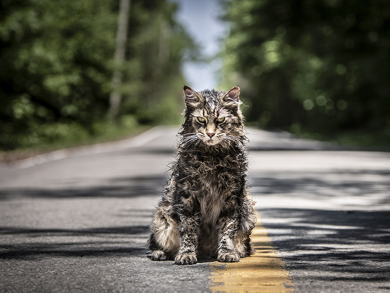 King. Stephen King. - VIDEO